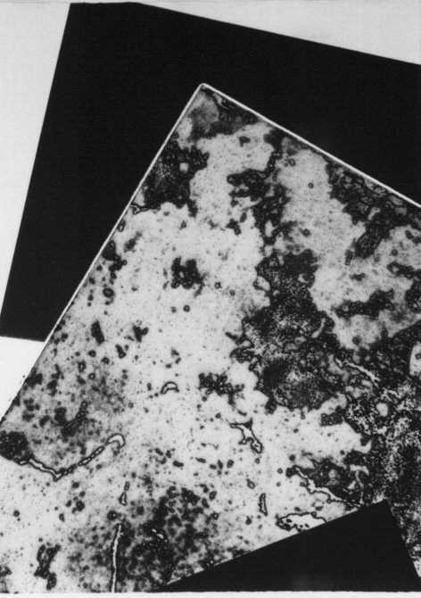 God17.jpg (37405 octets)