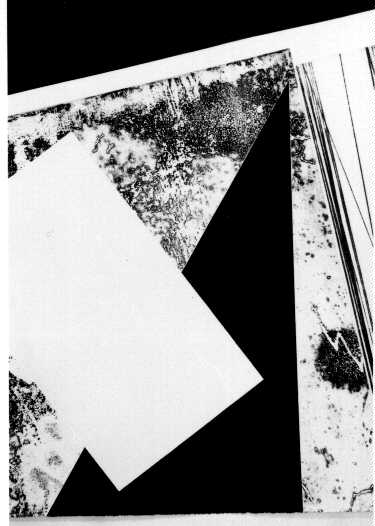 God2.jpg (23823 octets)