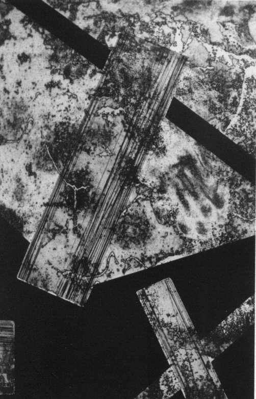 God7.jpg (52545 octets)